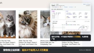 宠物独立站拆解：英文养猫站靠广告赚钱，站长4个站月入2.5万美金