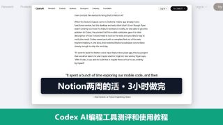 Codex AI编程工具测评和使用教程：Notion两周的活3小时做完