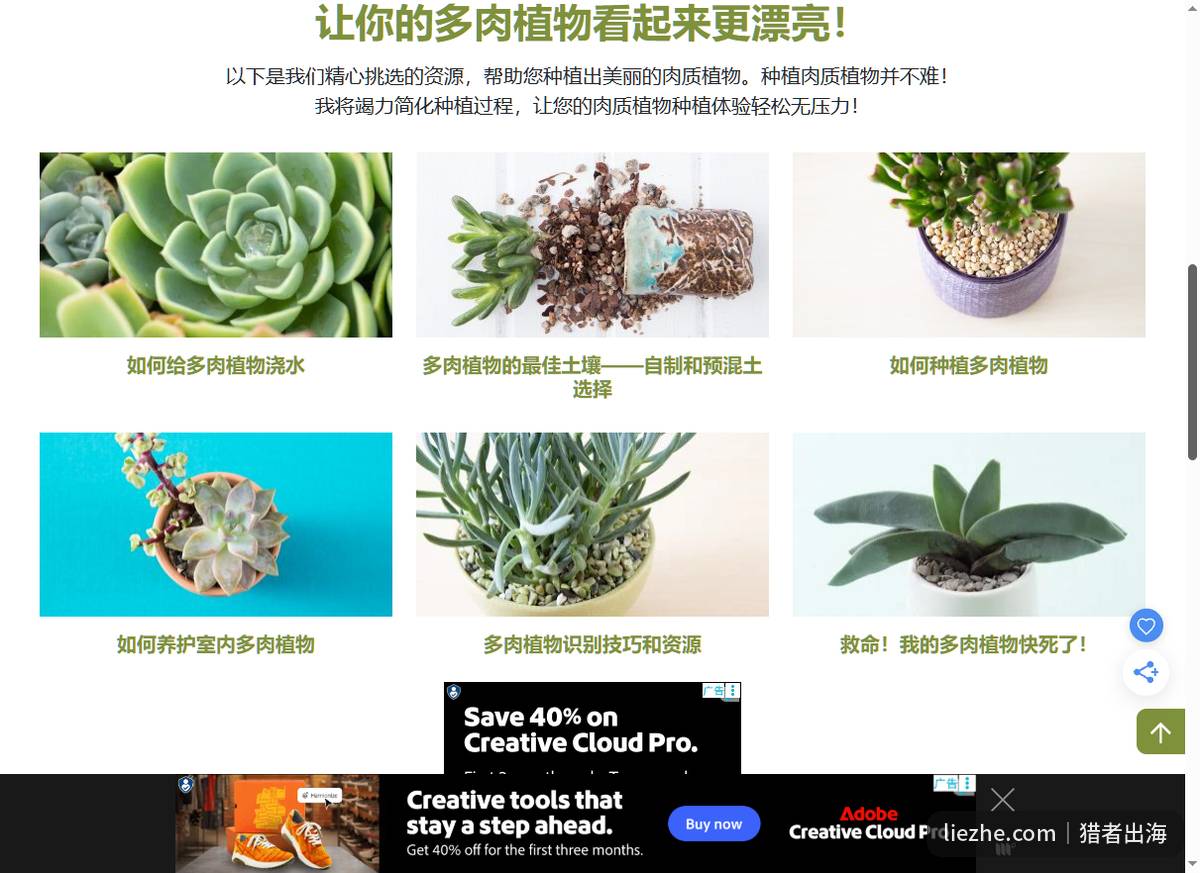 多肉植物niche利基站的内容结构:浇水、土壤、种植、救治等长尾问题