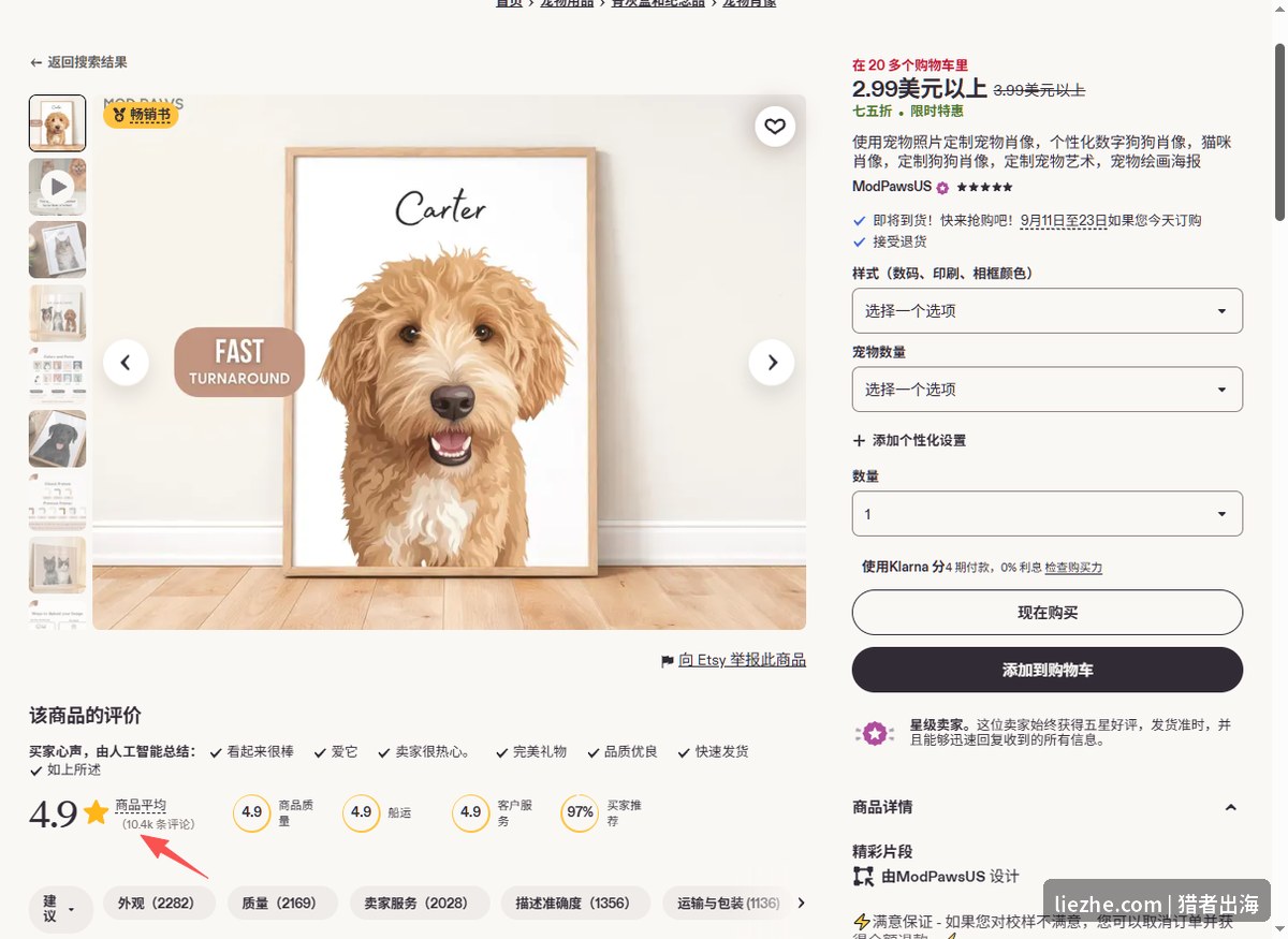 Etsy定制宠物肖像商品页面和评价数据截图