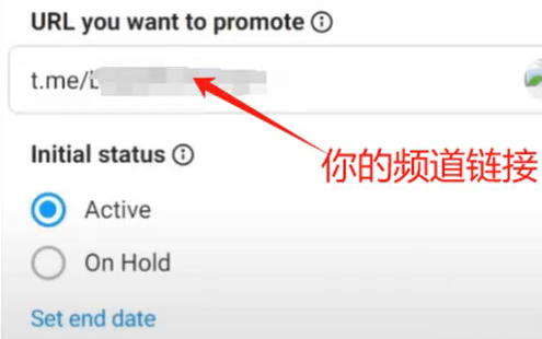 Telegram广告后台URL you want to promote一栏填t.me开头的频道链接,下面是Active和On Hold两种初始状态