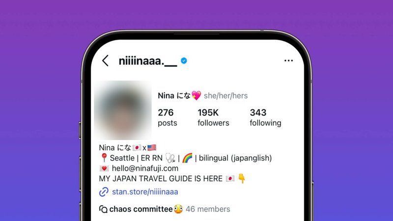 卖家的Instagram主页:19.5万粉丝,简介里只挂一个店铺链接
