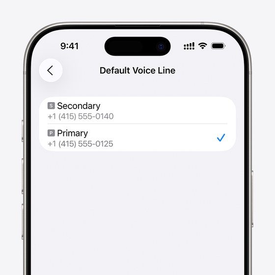 iPhone的Default Voice Line页面:可在Secondary和Primary两个号码里选默认语音线路,Primary已勾选