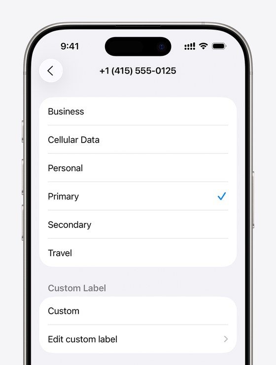 iPhone给号码选标签的页面:Business、Cellular Data、Personal、Primary、Secondary、Travel,下面可自定义标签