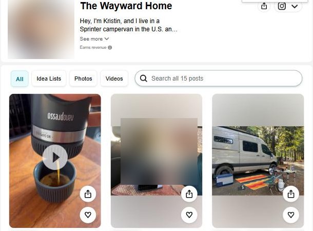 The Wayward Home的亚马逊网红店,标着Earns revenue和15条帖子