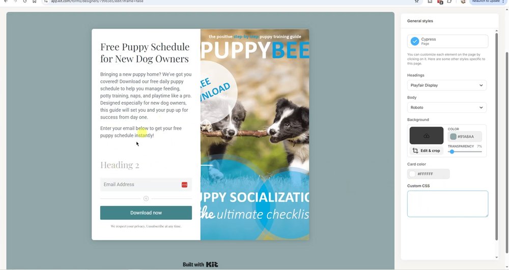 幼犬训练站在Kit里编辑的免费幼犬作息表领取页,邮箱输入框和Download now按钮