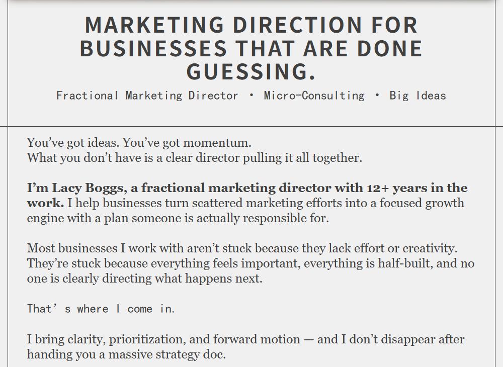 这位博客代写创始人现在的官网首页:Fractional Marketing Director、Micro-Consulting、12年以上从业
