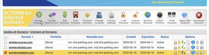 NameSilo后台域名列表，Expiration一列显示到期日，勾选一个域名后点左上角Renew Domains