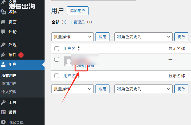 WordPress后台用户列表,点用户名下面的编辑进入个人资料