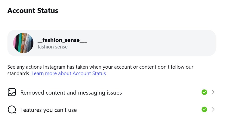 Instagram网页版账户状态页:两项都是绿色对勾