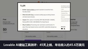 Lovable AI建站工具测评和使用教程:零代码创始人45天上线,年化收入45.6万美元