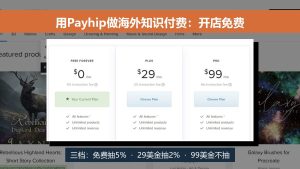 利用Payhip平台做海外知识付费项目，一天进账800美金