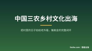 中国三农乡村文化出海：一个YouTube频道怎么把村里的日子拍给老外看、赚美金