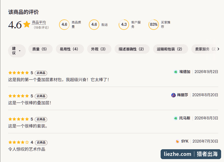 Etsy数字素材包的买家评价页,综合评分4.6分共19条评论及各维度打分